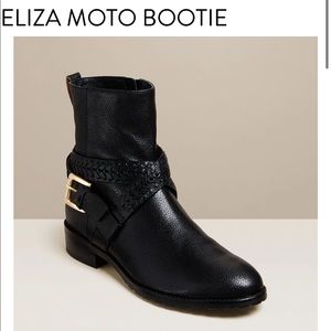 NWT Jack Roger Bootie